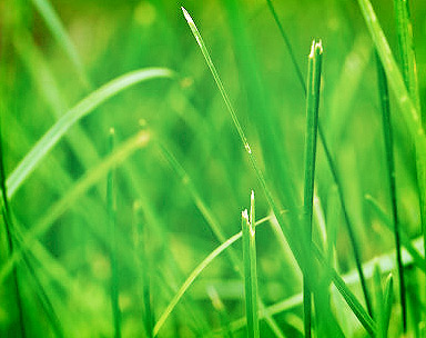 呼死你电话轰炸机